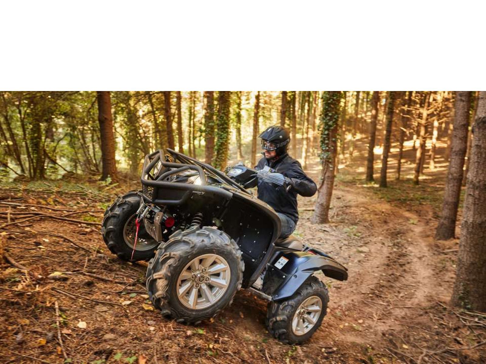 Мотовездеход ATV YAMAHA Grizzly 700 EPS SE 25 TH Anniversary (Low Gloss Black) 2024